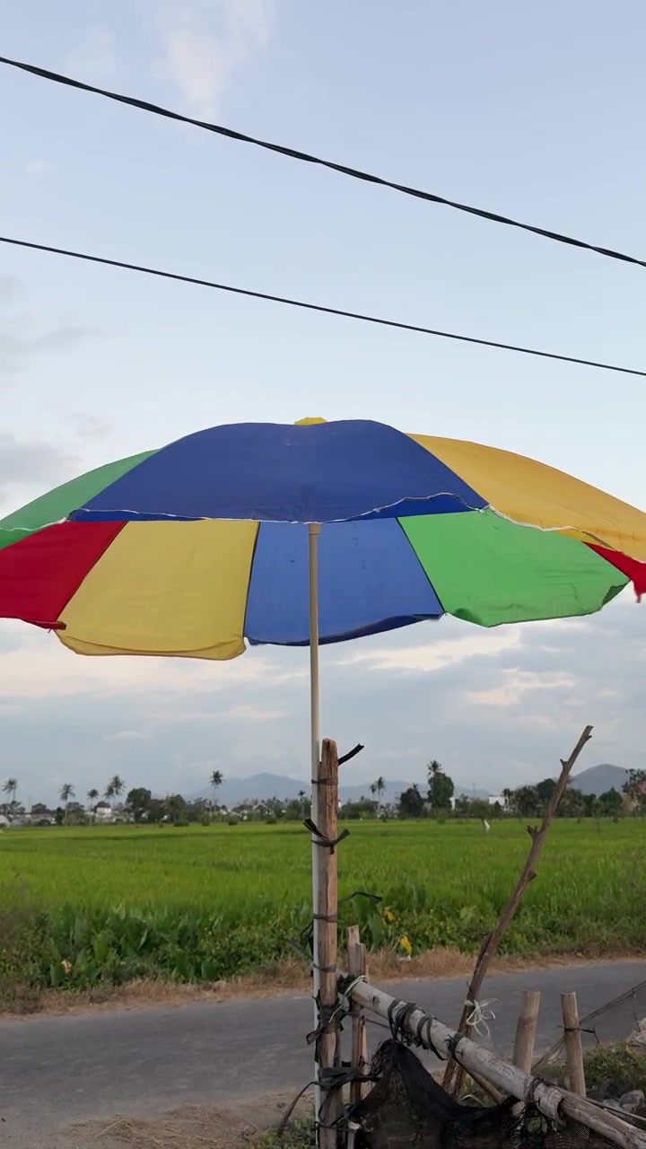 Farverig strandparasol i en landlig rismark