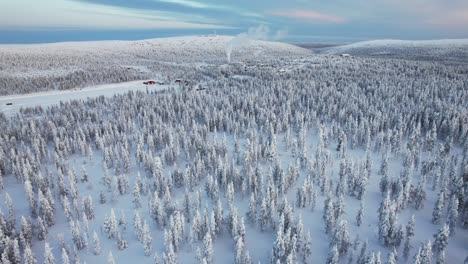 drone landscape pan of vast snow-covered landscape in lapland, finland, arctic circle