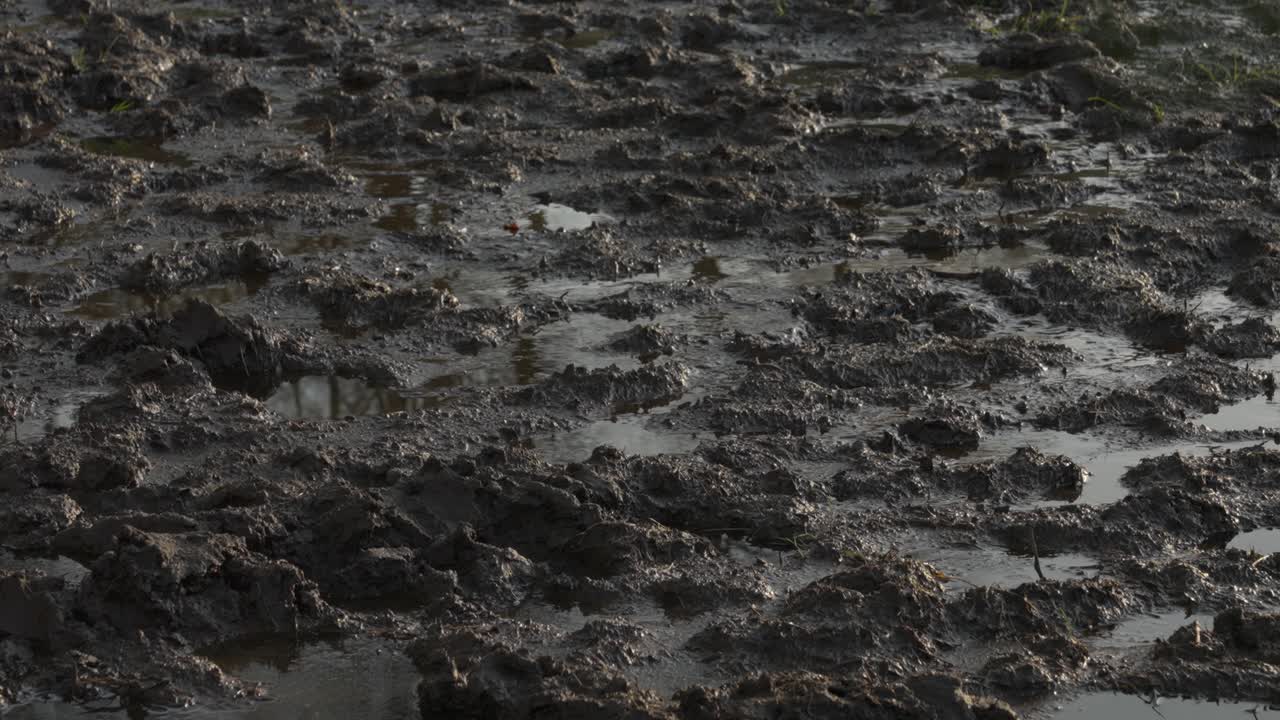 공원에서 아름다운 날, 도시 한가운데에서