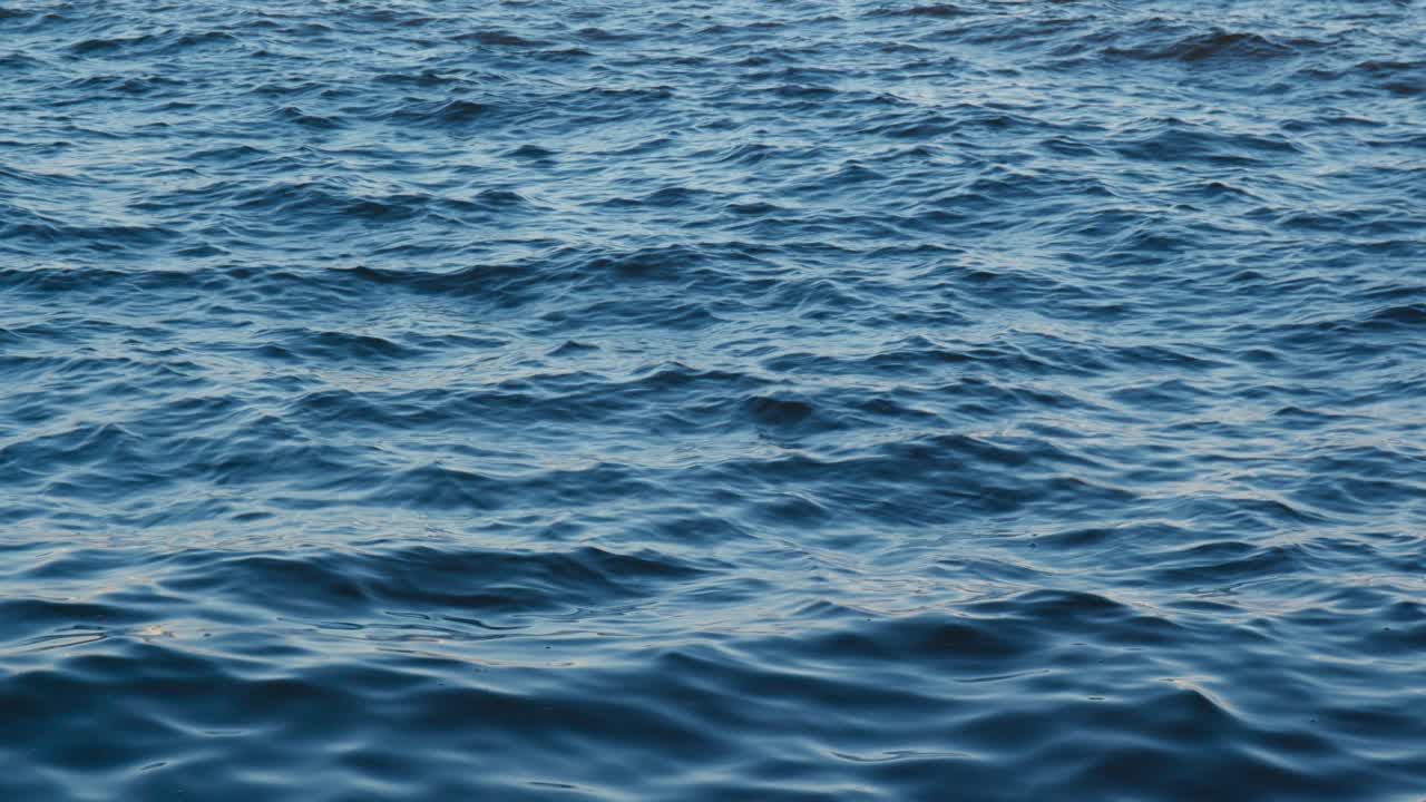 바물 의 근접적 인 모습