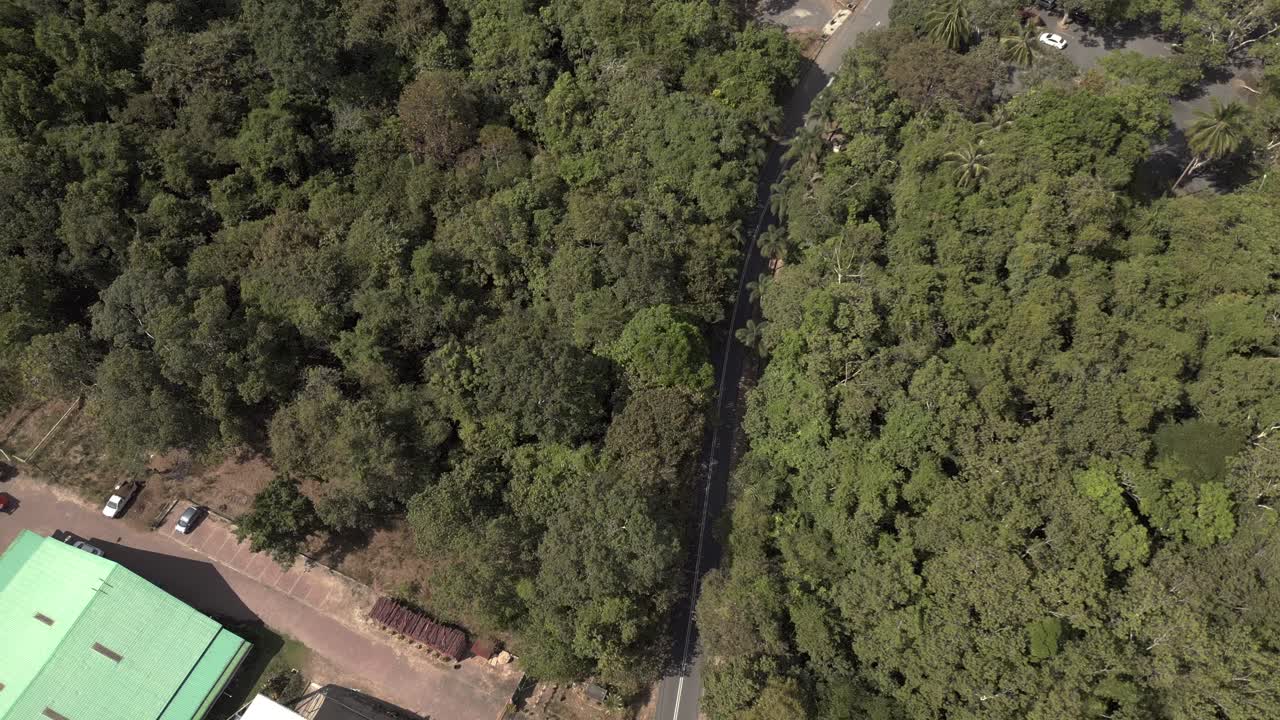 ecosistema saludable dosel verde de la selva que cubre las laderas de los espectaculares picos de las montañas en langkawi, malasia