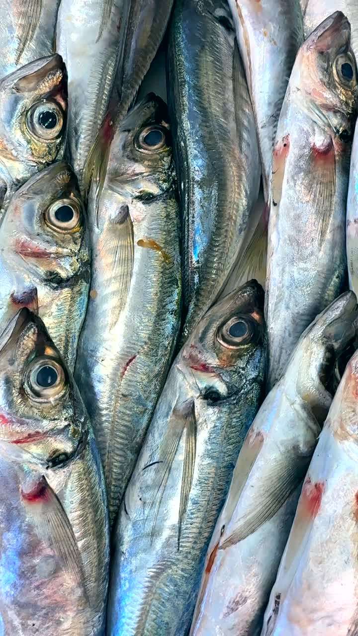 pescado fresco en un mercado