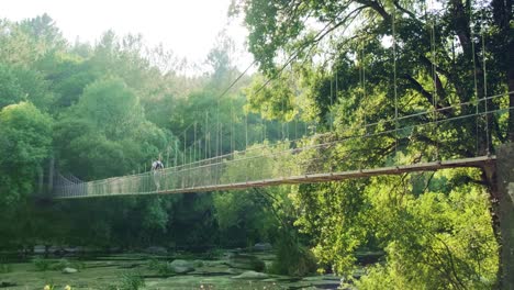 establishing shot caucasian man crossing rope suspended bridge, idyllic forested landscape