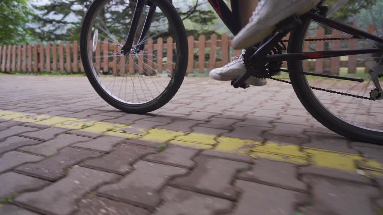 자연 공원에서 자전거를 타고 다니고 있습니다.