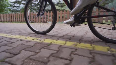 cycling in the nature park.