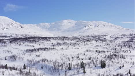 drone, winter at the backside of are, sweden