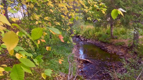 Beautiful-yellow-trees-and-a-small-river-at-autumn-in-Norway