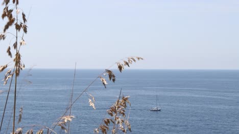 the italian beaches have magical views that with a trekking you can live the summer of love. it is a paradisiacal place with turquoise blue sea and natural clearing. beautiful sea