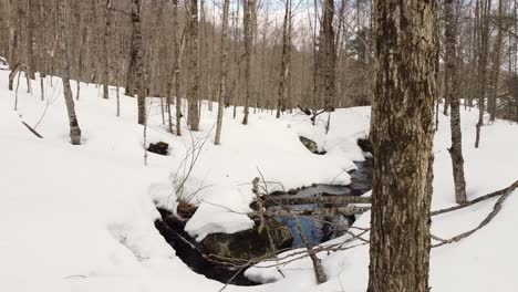 Meltwater-flows-through-brook-in-snowy-woodland