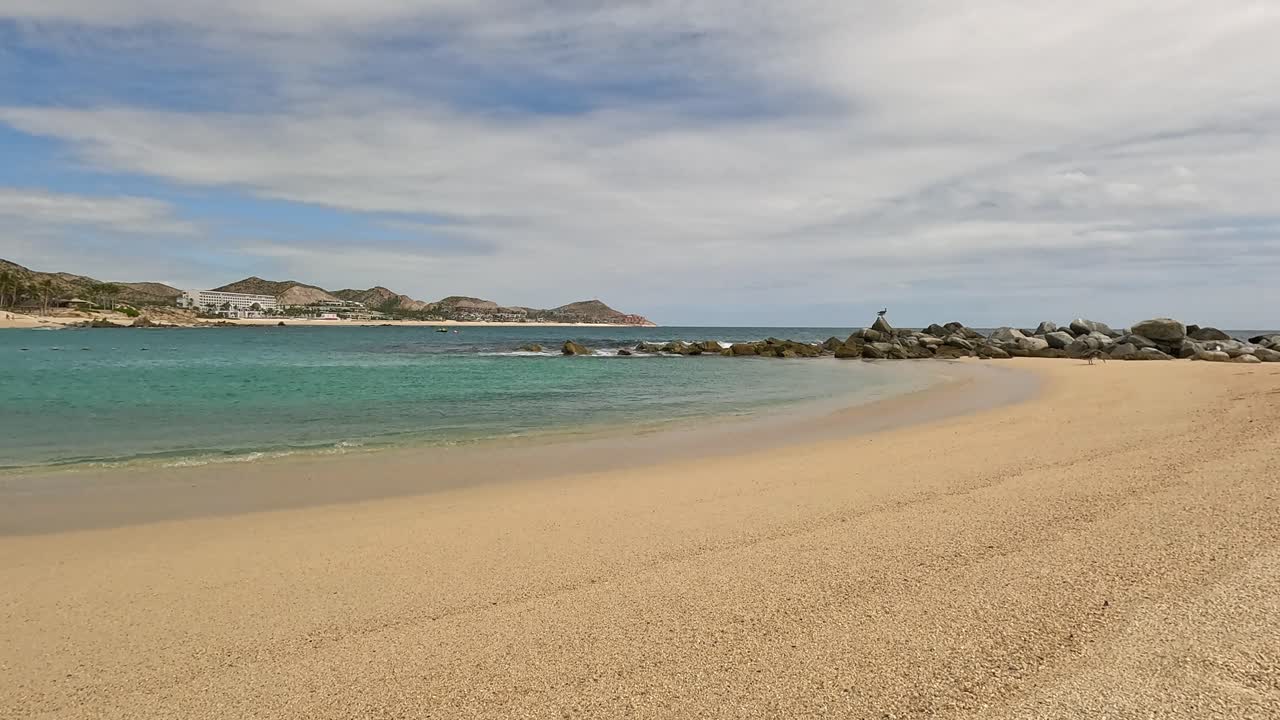 Pelicans time lapse on the beach in Cabo San Lucas Mexico