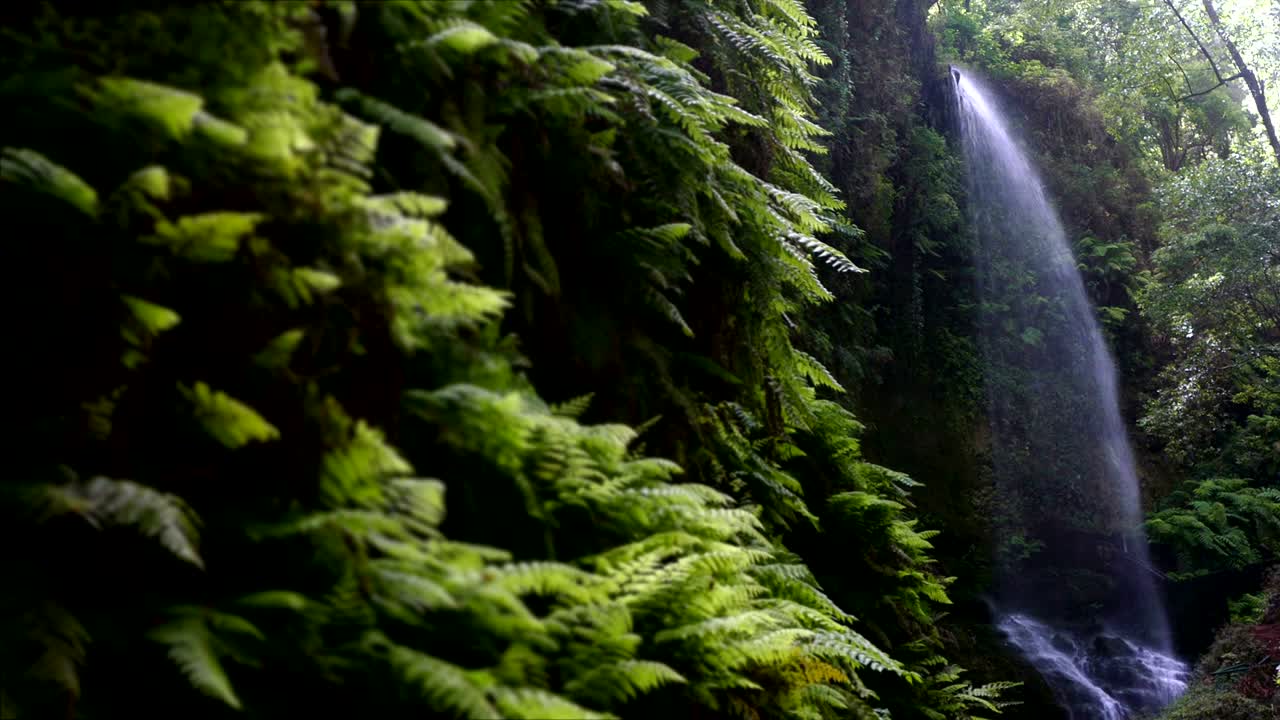 Waterfall "The Lindens",in Island of La Palma, Canary Islands, Spain.