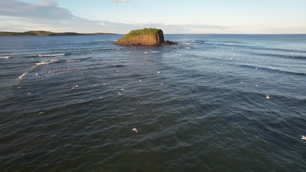 Aerial view of the coastal horizon with hills, a sandy shoreline, and birds flying over the water at Praia da Amoreira, Portugal. A scenic and peaceful beach landscape