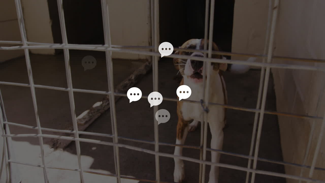 3D render showing dog standing behind wire cage inside kennel with concrete floor and wooden branch