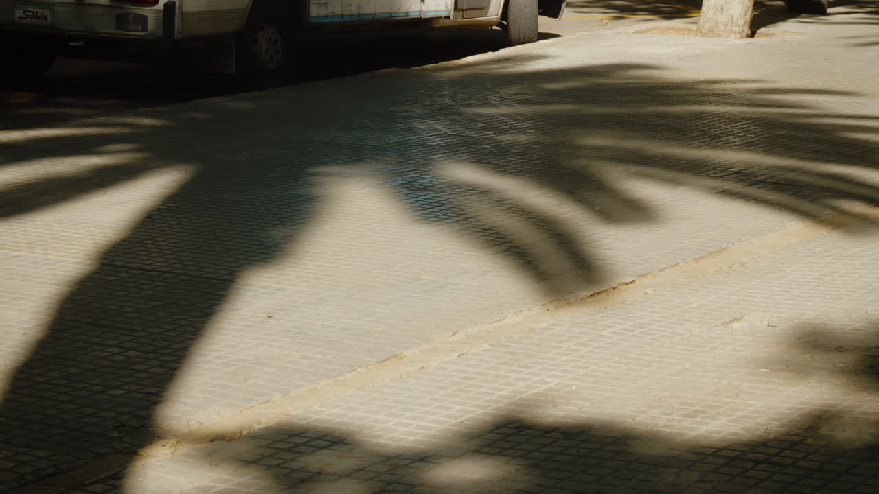Shadows of palm trees stretch over sunlit Mallorca street. Perfect for travel promotions or scenic backdrops.