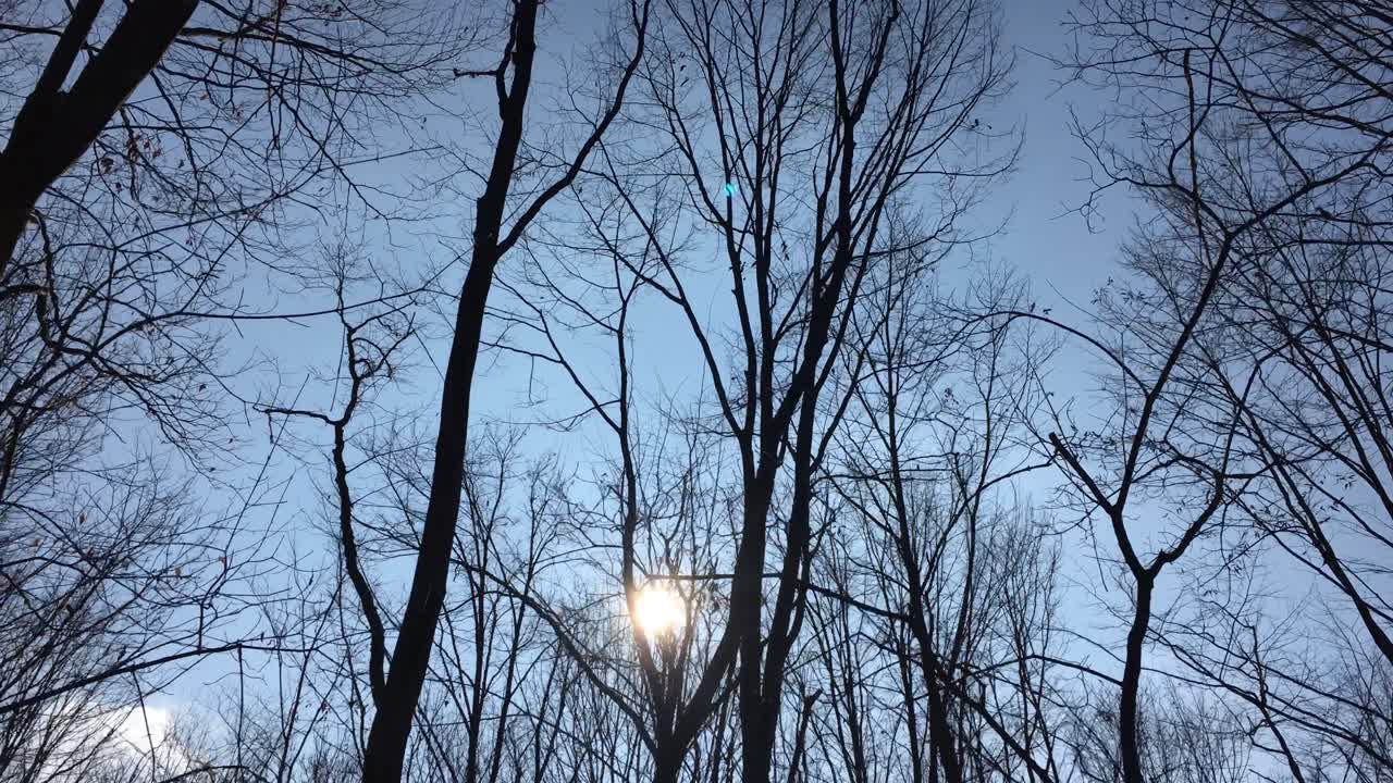 이른 봄에 해가 하늘에 떠 있고 햇빛이 나뭇가지를 통해 들어오는 숲길을 걷고 있다