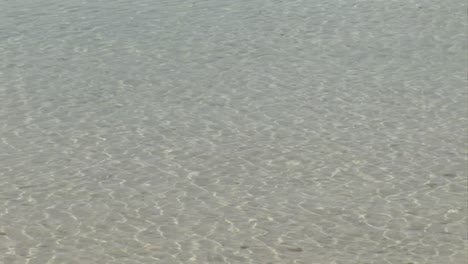 Stock-Footage-Beach