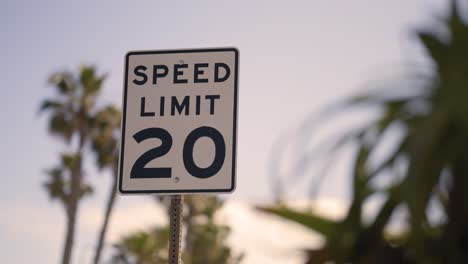 speed limit 20 with palm trees and sunset