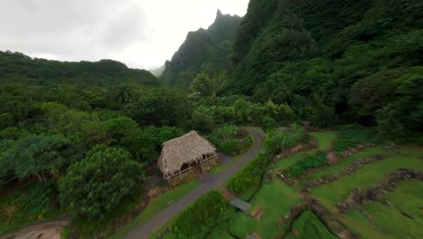 La-Isla-Del-Jardín