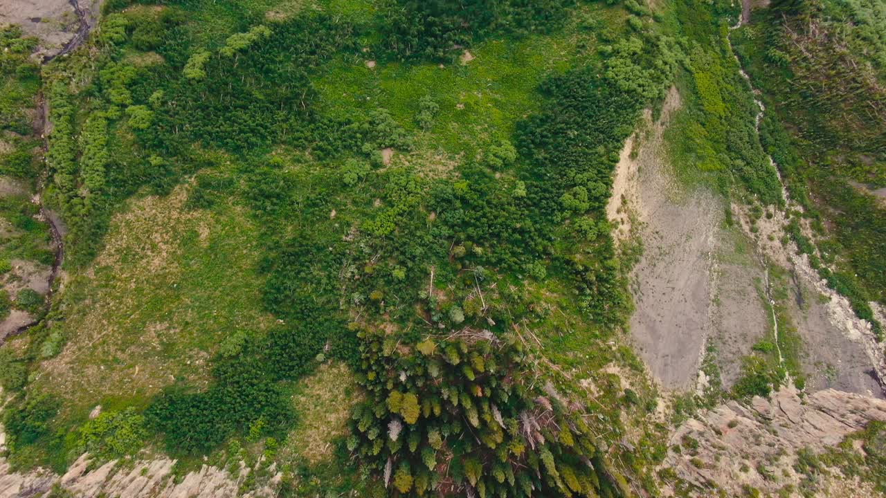 vista aérea de drones de la exuberante y verde ladera de la montaña alpina