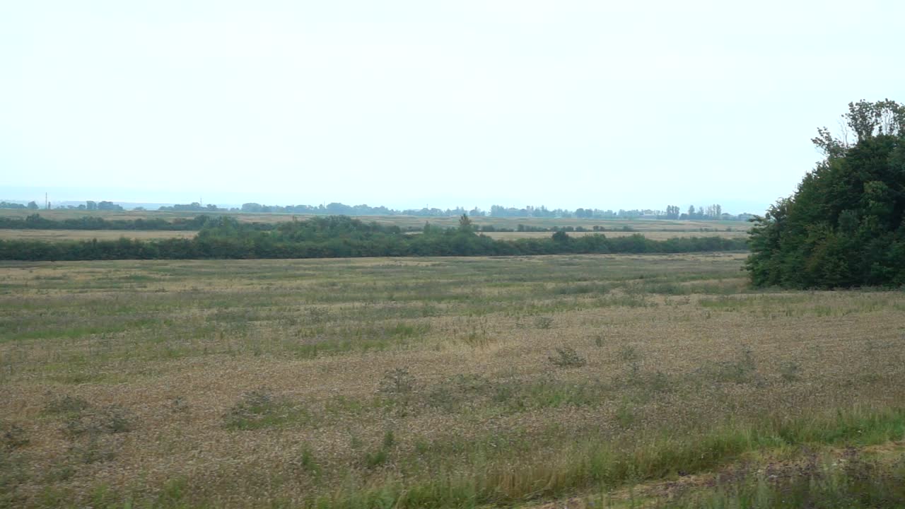 Pemotretan ladang musim panas