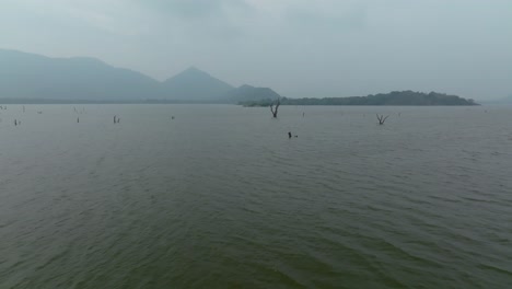 drone zooms in above still lake with distant islets and submerged dry tree branches, overcast sky in sri lanka
