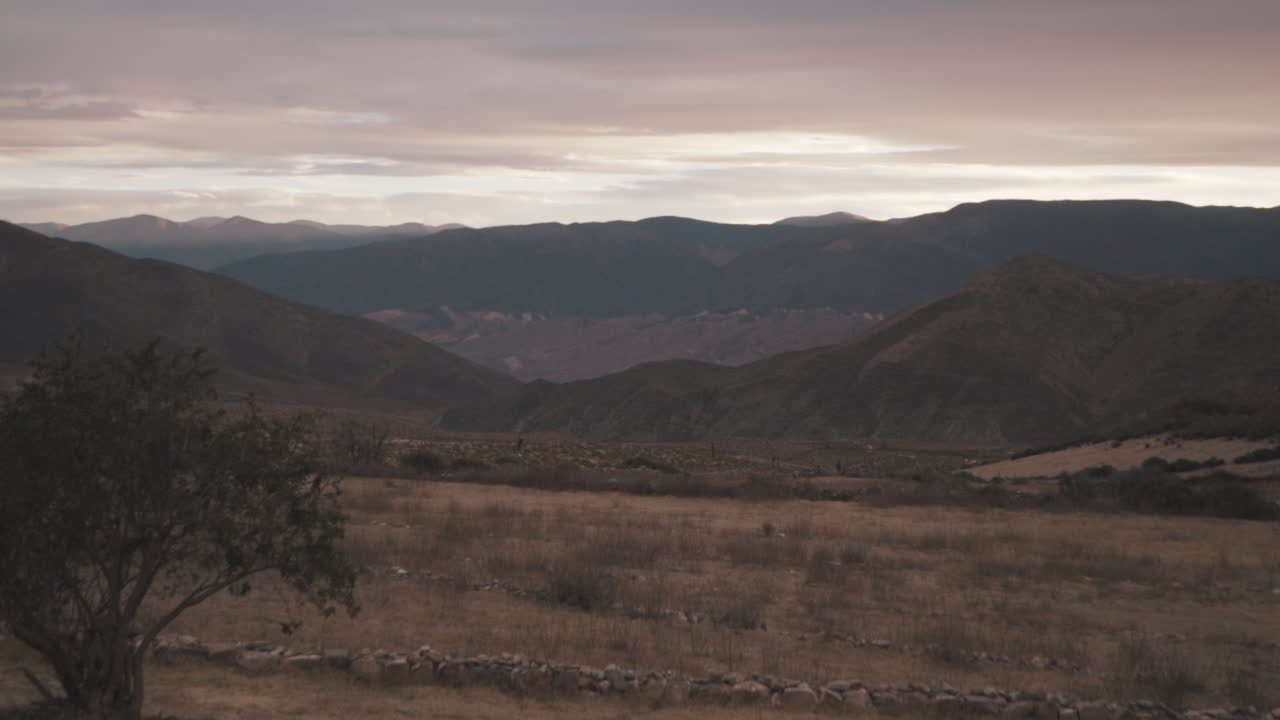 Timelapse of arid and dry landscape with lonely tree in foreground. South American paramo. Argentina.