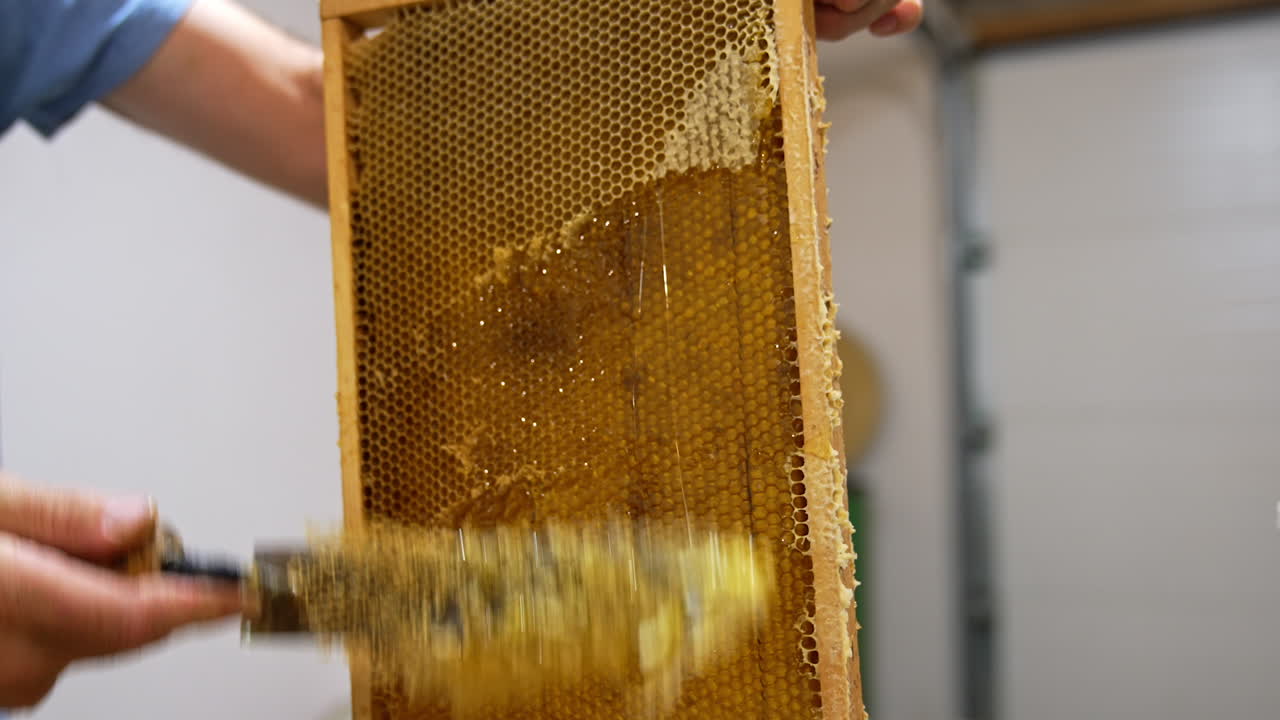 Cutting the tops on the wax cells. Uncovering the honeycombs for easier honey extraction at centrifuge machine. Low angle view.