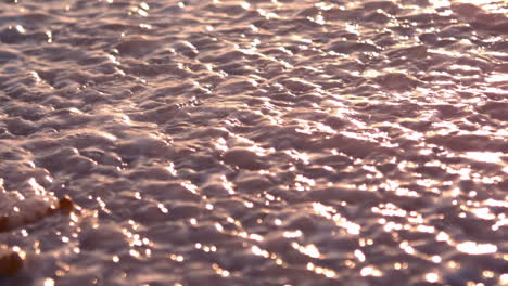 Starfish-on-the-sand-and-wave-coming