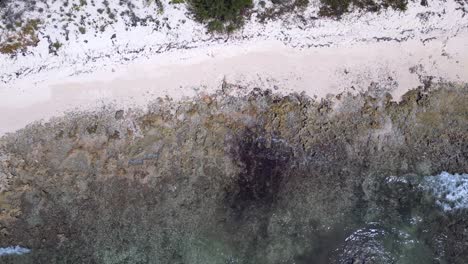 Drohnenaufnahmen-Folgen-Wellen-In-Einem-Türkisfarbenen-Tropischen-Ozean,-Die-über-Ein-Korallenriff-Und-An-Einen-Strand-In-Der-Karibik-Krachen,-Bevor-Sie-über-Palmen-Und-Einen-Tropischen-Wald-Fliegen