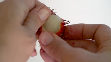 los dedos pelan fruta de rambután inusual, primer plano, aislado, fruta del sudeste asiático