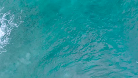 Top-Down-Slow-Motion-Drone-View-of-turquoise-clear-water-and-crashing-waves-over-shallow-coral-reef-in-Uluwatu-Bali-Indonesia