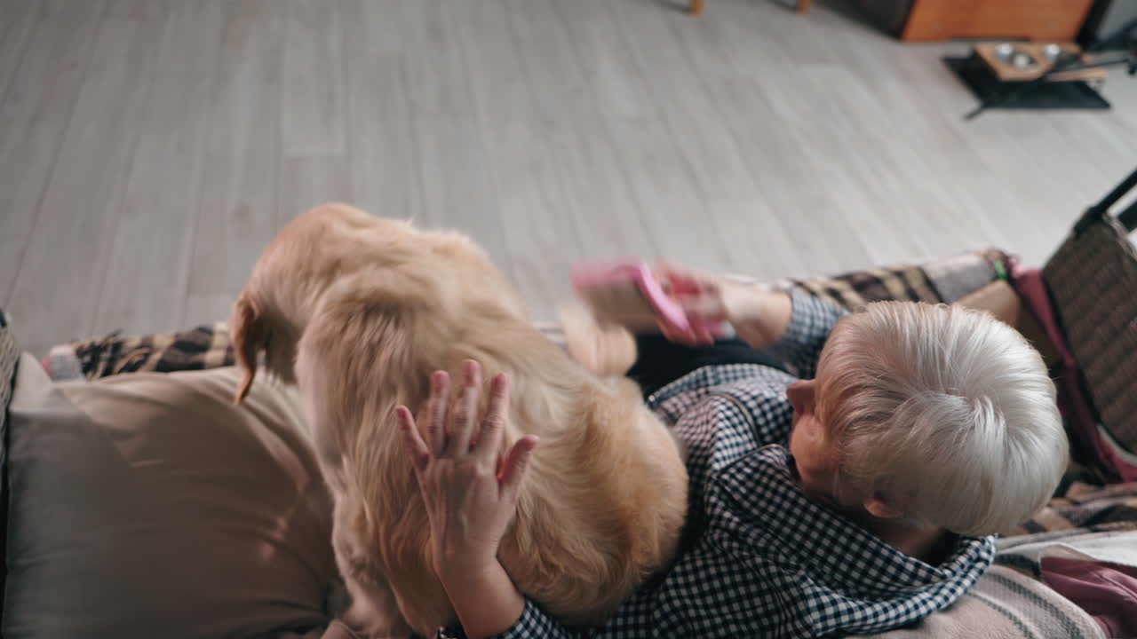 노인 여성이 소파에 골든 리트리버를 키우고 있다