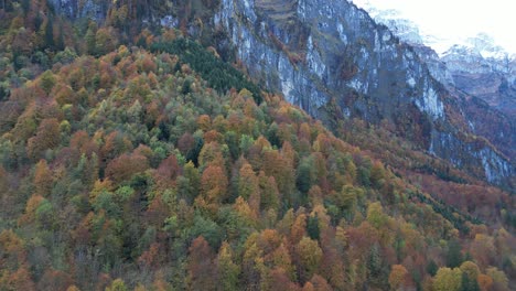 Luftaufnahme-Des-Hochgelegenen-Tundrawaldes-Mit-Schneebedeckten-Berggipfeln-Im-Hintergrund