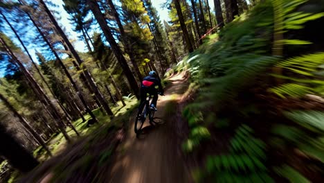 mountain biker riding through a forest trail