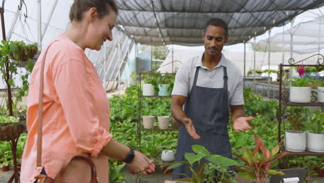 woman selecting plants while man in apron tending to greenery in nursery