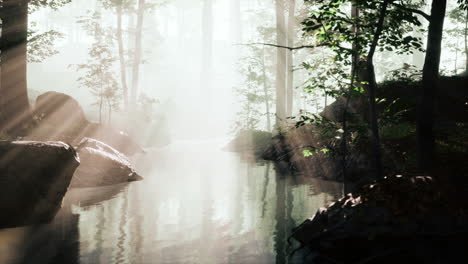 Early-morning-white-dense-fog-covering-the-pond