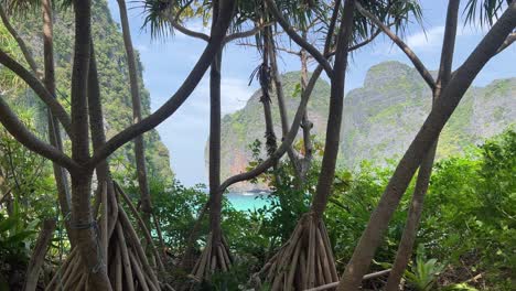 maya bay in phi phi islands national park, wave, sand beach, and beautiful crystal clear water at a popular tourist destination in krabi, southern of thailand