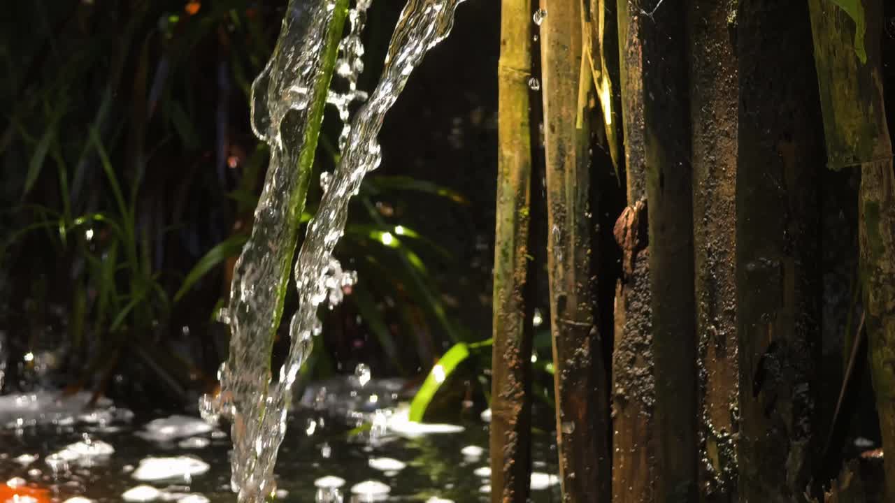 Water Feature in a Garden with Koi Fish