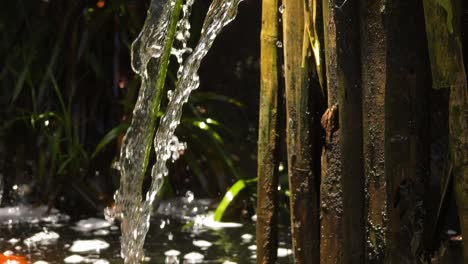 water feature in a garden with koi fish