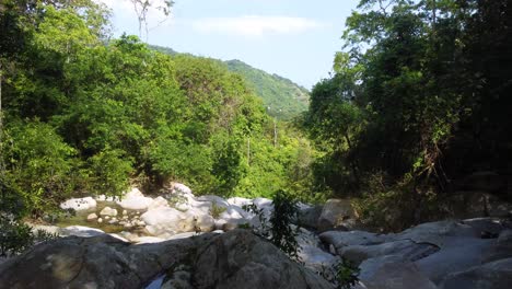 Tranquil-forest-stream-flowing-over-rocks,-lush-greenery,-daylight,-serene-nature-scene