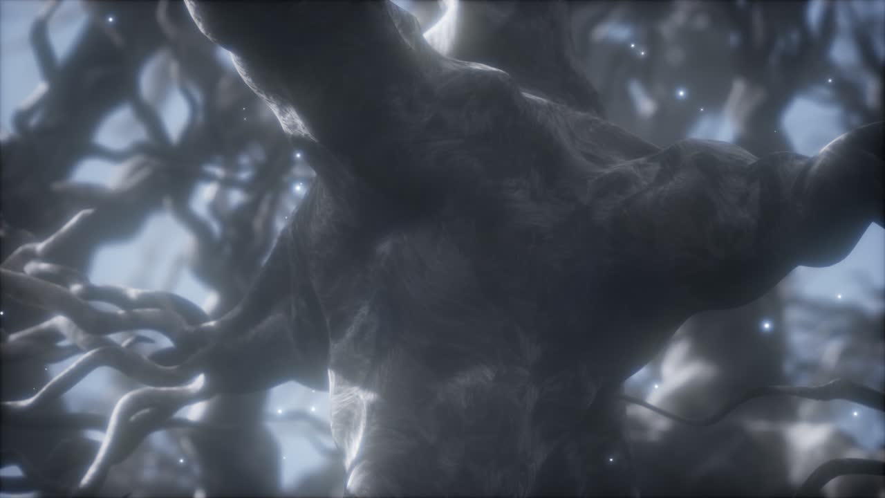 뇌 안의 신경 세포 네트워크를 통해 여행합니다.