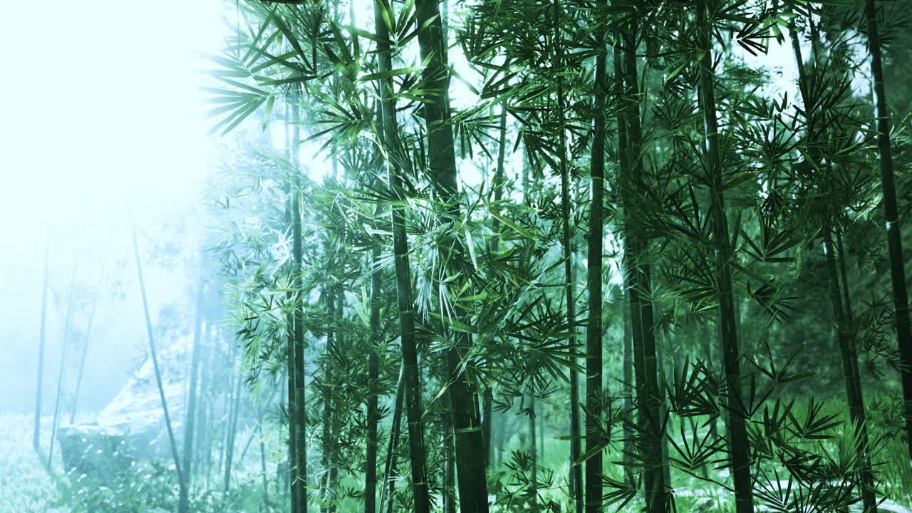 naturaleza fresca y verde bosque tropical de bambú