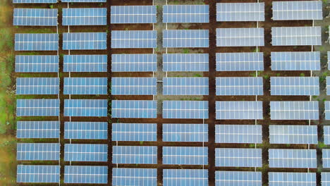 top down aerial of a lot of solar panels