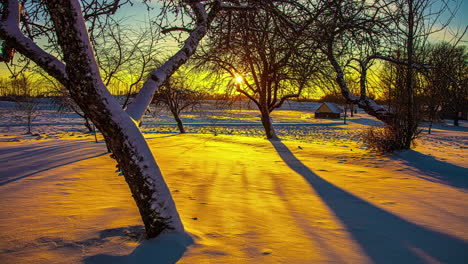 Hintergrundbeleuchtung-Mit-Einem-Wunderschönen-Sonnenuntergang-Im-Winter-Und-Schneebedeckten-Bäumen