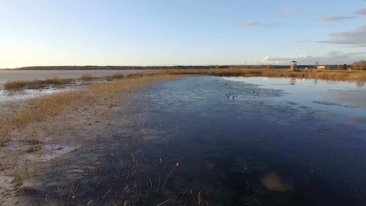 봄 공중 전망에서 얼음이 거의 없고 수위가 높은 잔잔한 호수 부르트니크