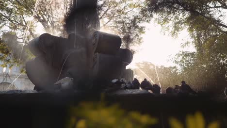 Close-up-of-Mermaid-Fountain-in-Antigua-Guatemala,-cinematic-shot-with-movement-and-blurry-foreground,-pigeons-in-sight