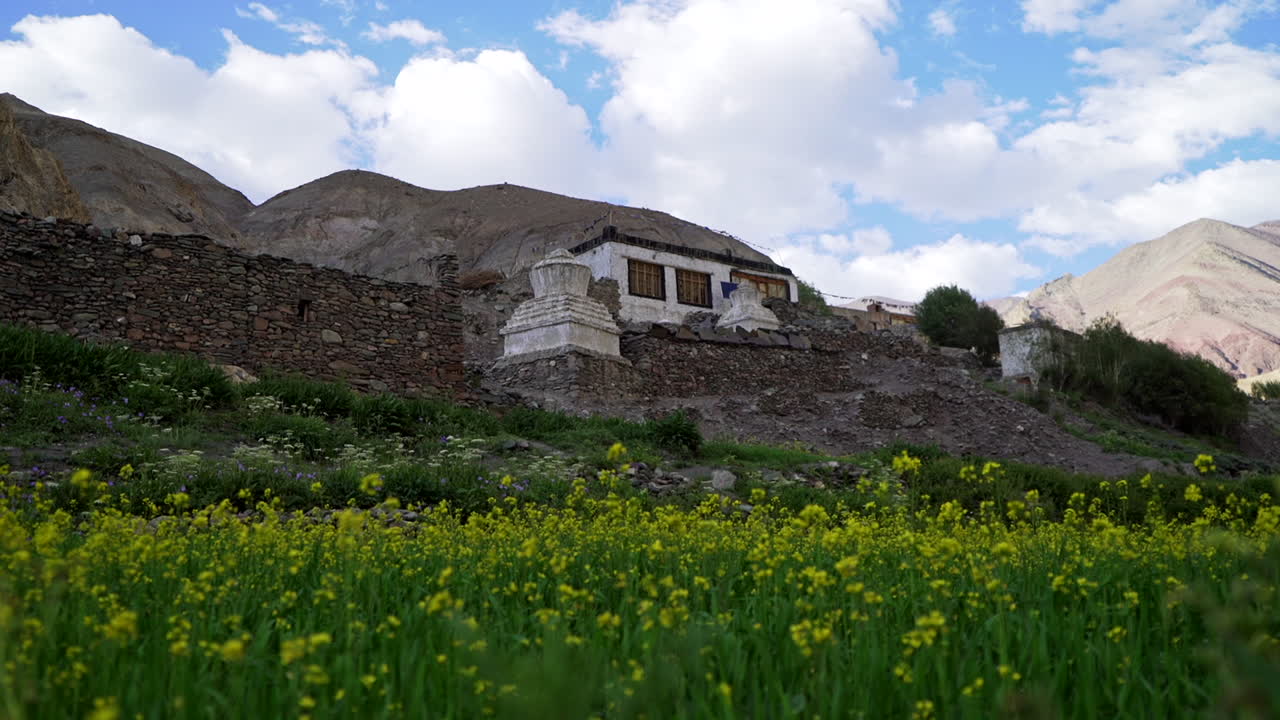 tiro inclinado desde el nivel del suelo con flores amarillas hasta una antigua casa de construcción para turistas en la carretera del valle de markha