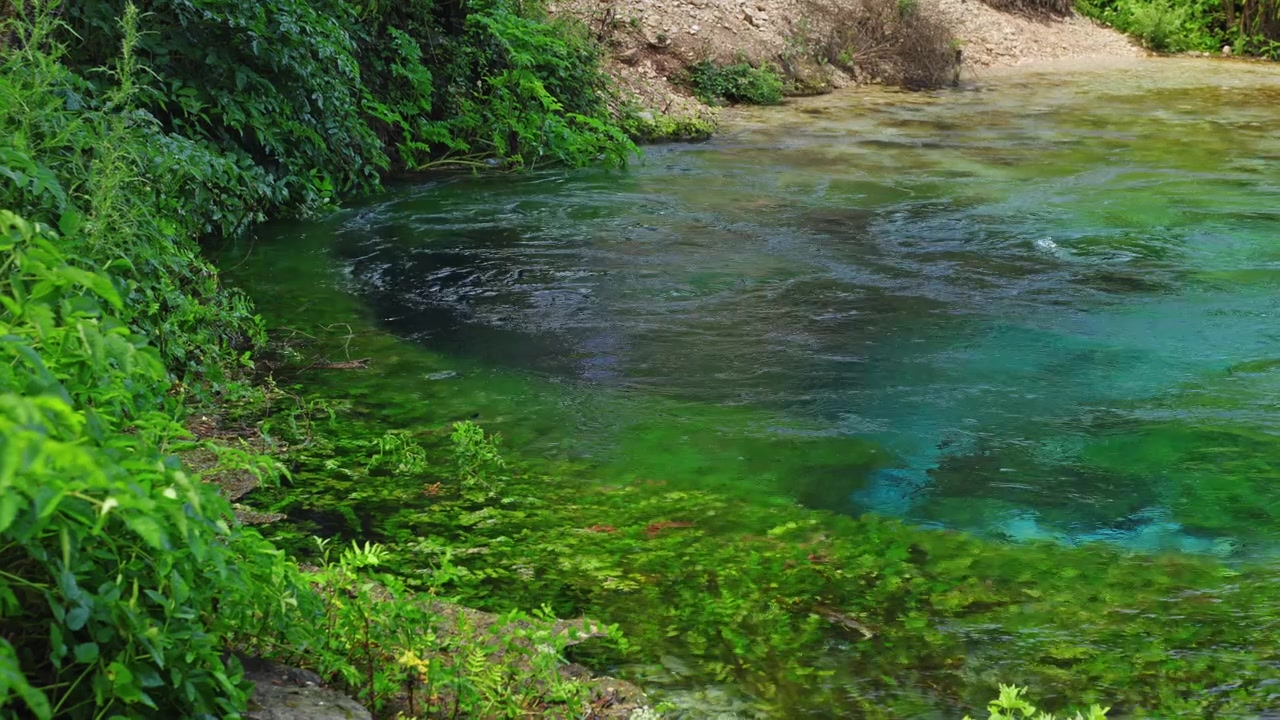 Acqua cristallina che scorre in una sorgente naturale