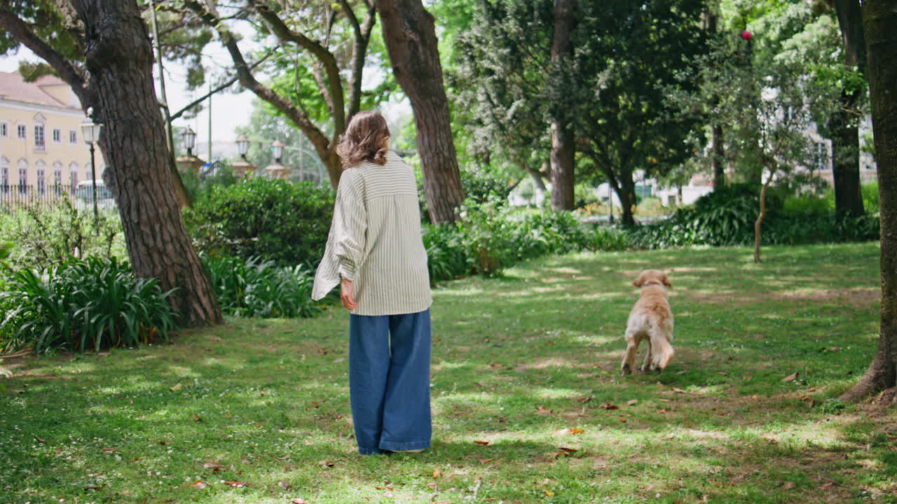 Woman throwing ball pet relaxing together in sunny park. Energetic dog running