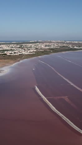 aerial view of a pink salt lake and coastal town